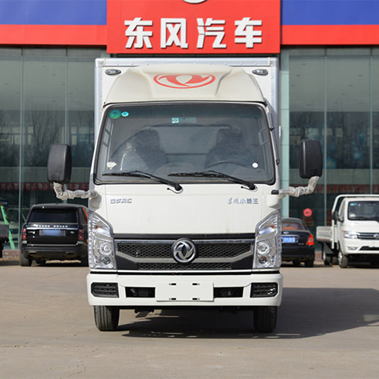 Dongfeng Xiaobawang W15